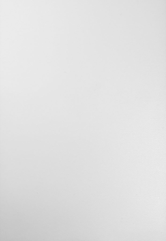 BLACKOUT OPACO BLANCO 1