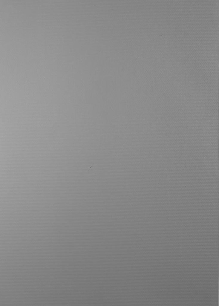 BLACKOUT OPACO GRIS 1