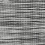 SCREEN GOBICOCOA 2